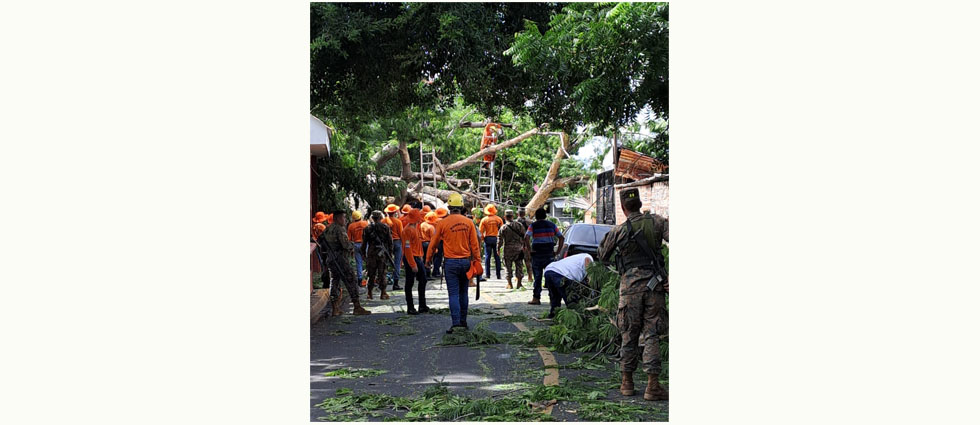 Militares dejan a un lado las armas y ayudan a remover árbol caído