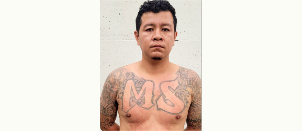 Arrestan a temido MS que tenía en zozobra a ciudadanos en Colón