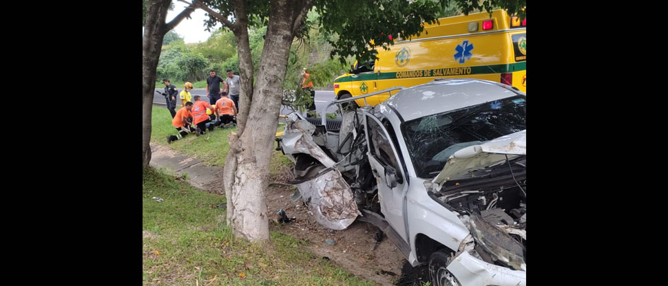 Automovilista sobrevive a violento choque contra árboles en la carretera Panamericana