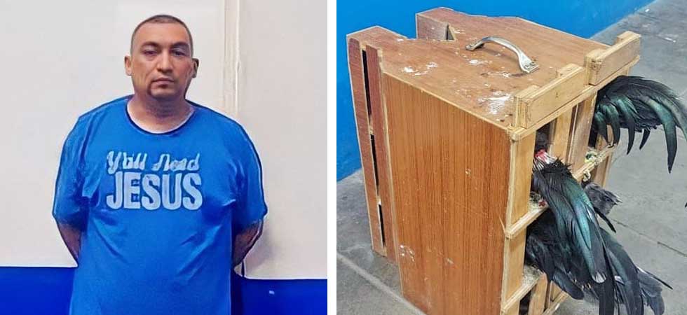 Detienen a hondureño que intentó ingresar al país animales y otros artículos sin declarar