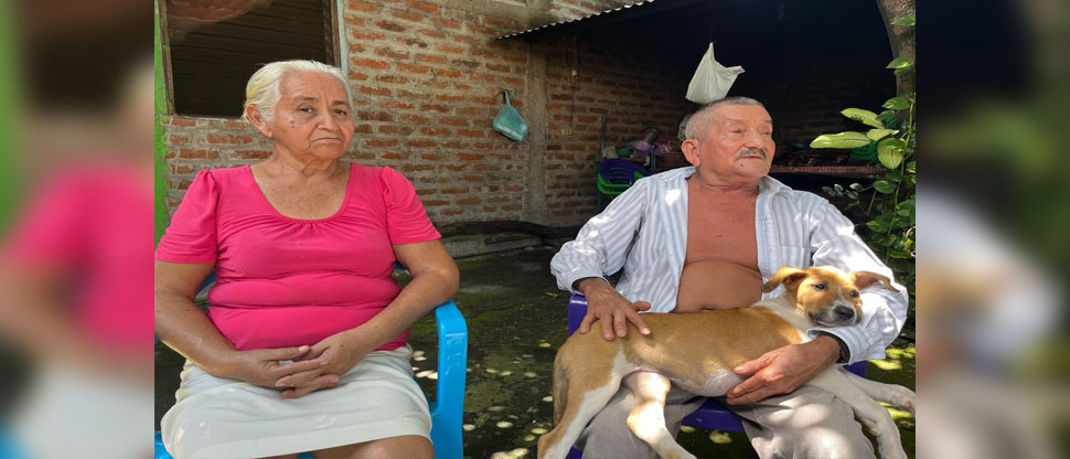 Confirman que “Juguete” se encuentra en rehabilitación tras ser rescatado de la calle