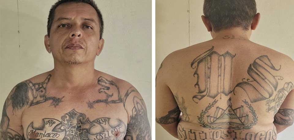 «Podría pasar hasta 30 tras las rejas»: Capturan a veterano pandillero de la MS