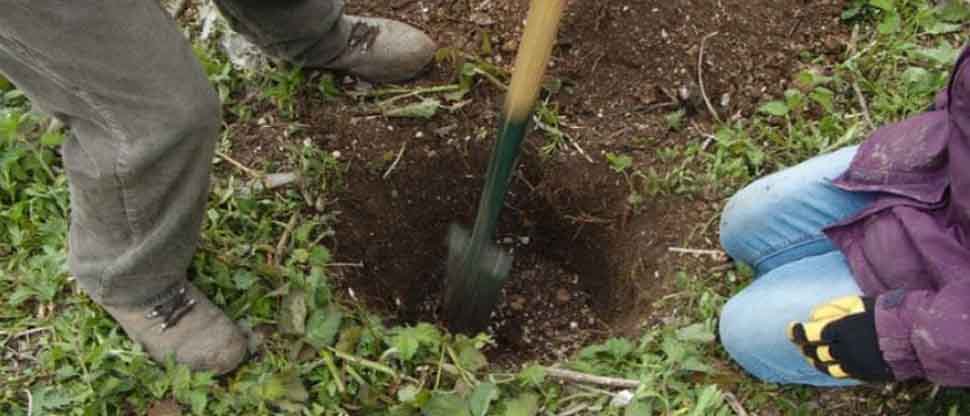 Por “mentir”, hombre entierra a su hija menor en el patio de su casa