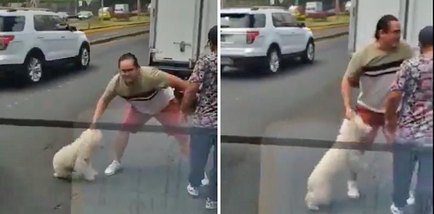 Tras protagonizar accidente vial, sujeto agrede a su mascota en plena calle