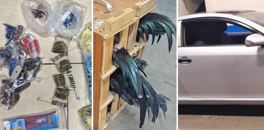 Detienen a hondureño que quiso ingresar a El Salvador con especies de contrabando