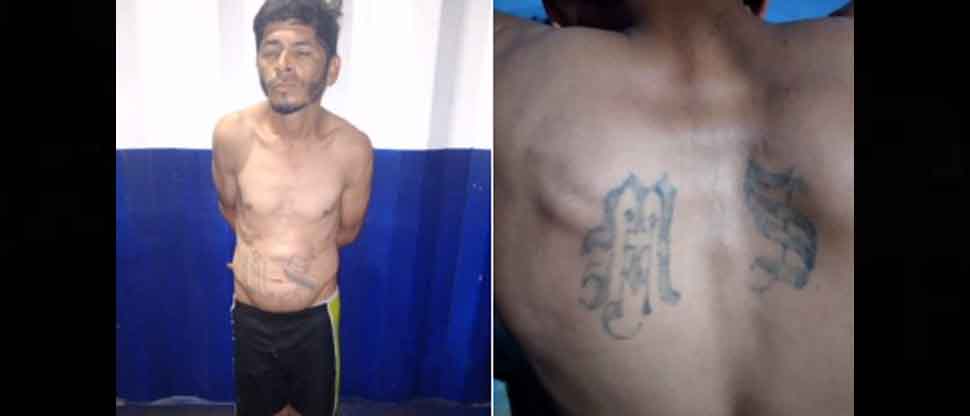 Cae el “Viejito pequeño, miembro de la MS que operaba en Santa Ana