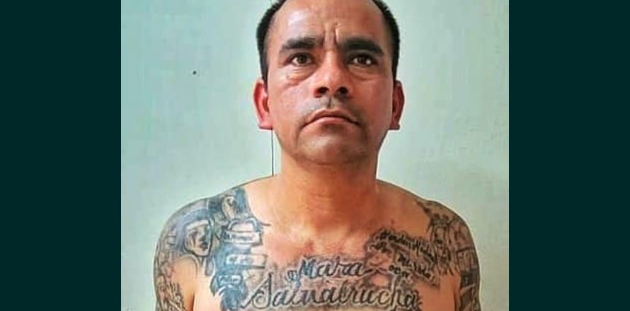 Terminan los días de libertad para palabrero de la MS