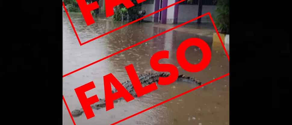 MARN desmiente falsa imagen de un cocodrilo visto en inundaciones en San Miguel