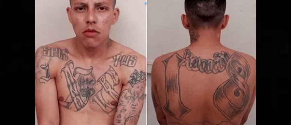 Pandillero contó sus días tras pensar que saldría en libertad, pero fue recapturado al salir del penal