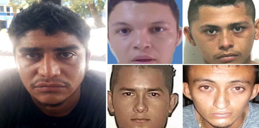 Fiscalía logra penas de hasta 238 años para miembros de una estructura