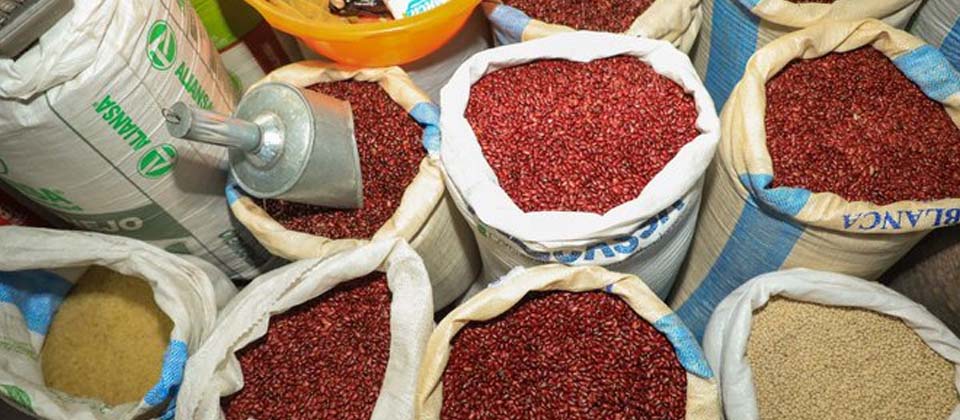 Defensoría del Consumidor realiza verificaciones en precios del frijol y descarta desabastecimiento