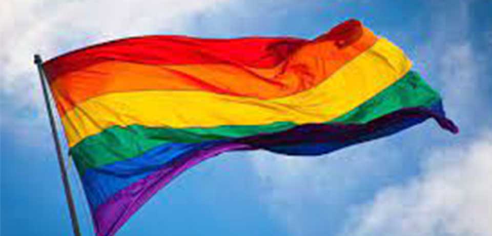 Federación Salvadoreña LGBTI rechaza nombramiento de nueva procuradora de DD. HH.￼