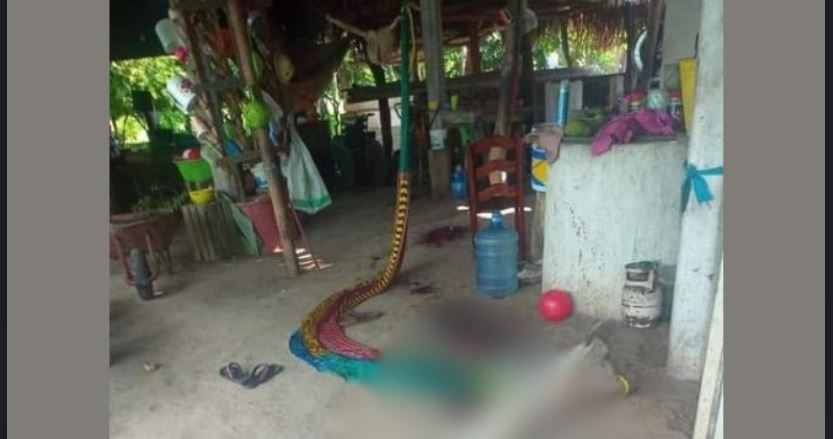 Poste se desprende y cae sobre una niña de 4 años