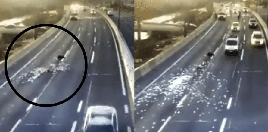 ¡Lluvia de dinero! Ladrones lanzan maleta repleta de billetes para no ser detenidos