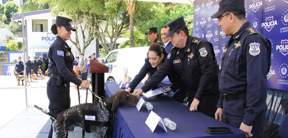 Condecoran a agentes caninos por su trabajo contra el narcotráfico y el rescate de personas