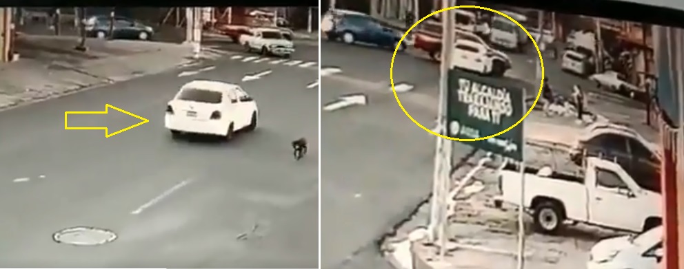 VIDEO: Cámaras captan el momento exacto de fuerte choque en colonia la Rábida, San Salvador