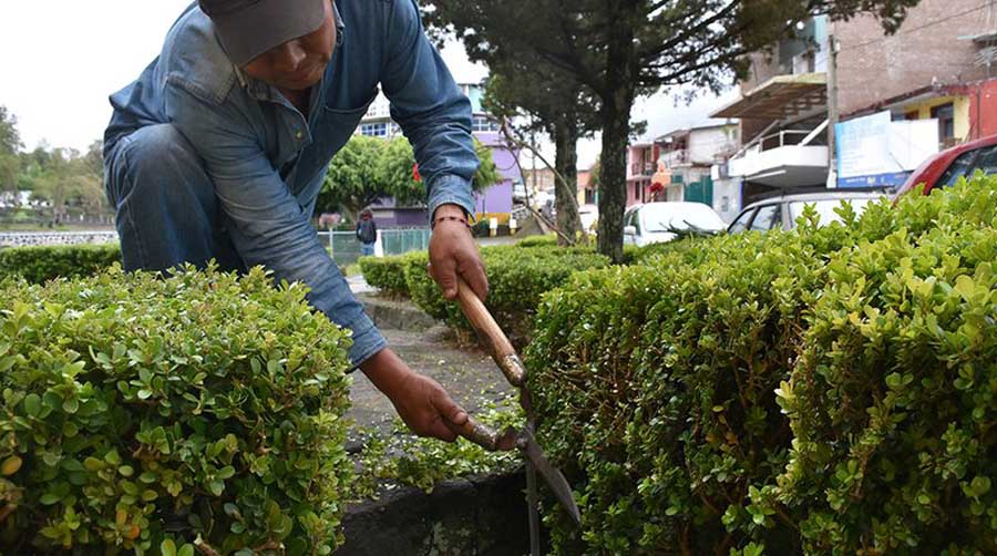 Ejecutan a jardinero salvadoreño en Washington DC
