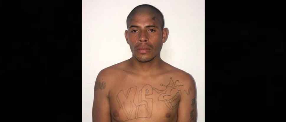 Capturan al “Tacuazín”, pandillero hondureño que delinquía en La Unión