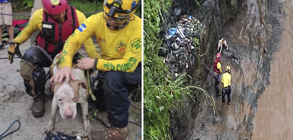 Rescatan a Tyson tras ser arrastrado por la corriente del río Acelhuate