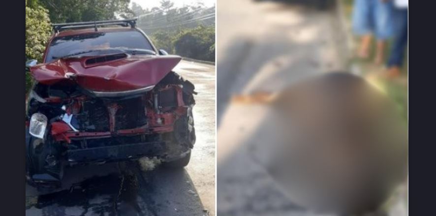 Conductor de camioneta impacta a una vaca que se cruzaba la carretera Panamericana