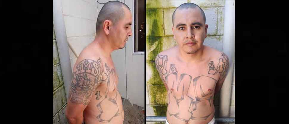 Capturan a pandillero que pretendía esconderse del Régimen de Excepción