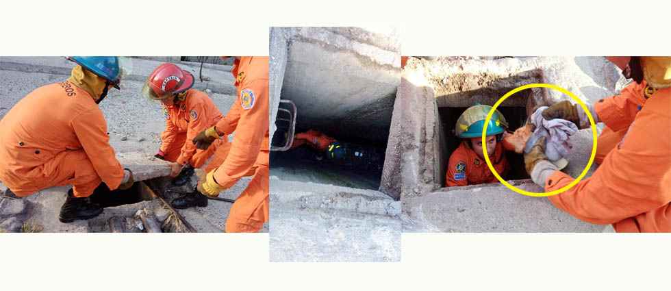 Bomberos ingresan a estrecho tragante para rescatar a un gatito