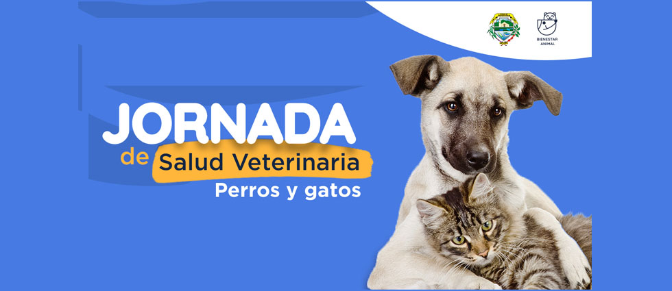 ¡Atención! Bienestar Animal llevará jornada de salud veterinaria a San Vicente