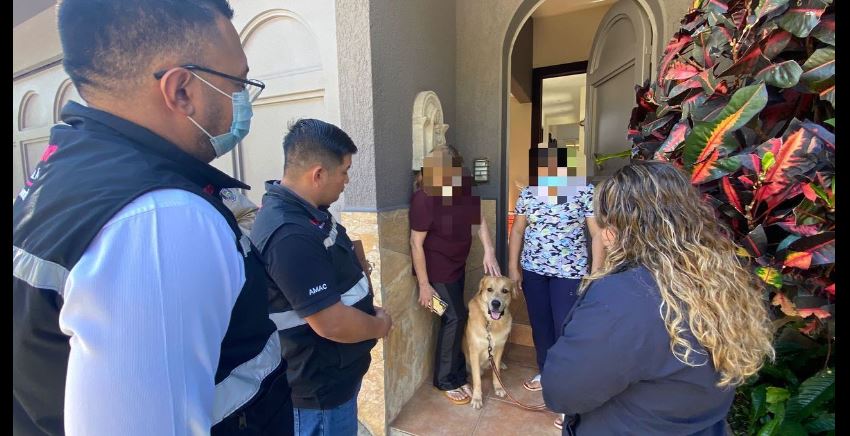 Tras denuncias de maltrato animal, autoridades inspeccionan viviendas en Antiguo Cuscatlán