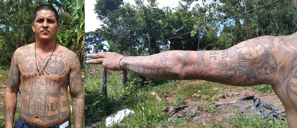 Capturan a alias El Malo, miembro de la MS que fue deportado de EUA