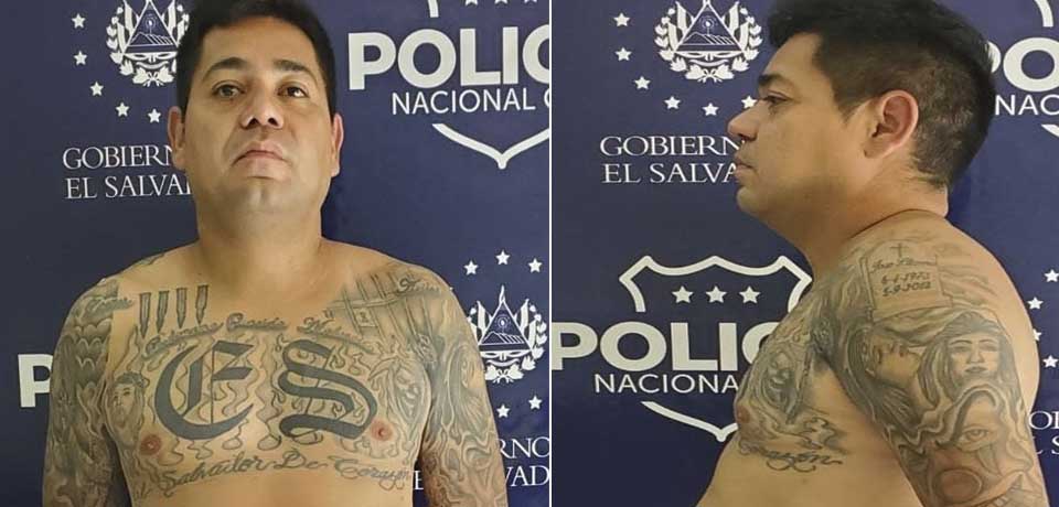 Cae alias Mosca, peligroso MS que operaba en San Miguel