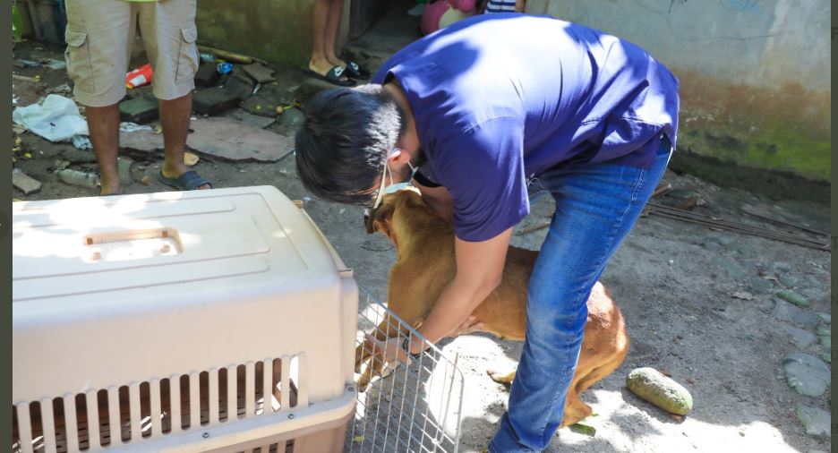 Tras denuncia ciudadana, sancionan a dueño de perrita abandonada y con desnutrición