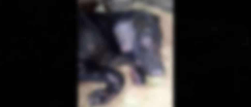 Por venganza, mujer quemó al perrito de su exnovio porque decidió terminar la relación