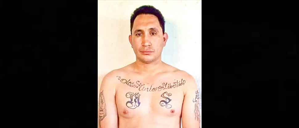 Capturan a «Piolín», pandillero que mantenía en zozobra a habitantes de La Unión