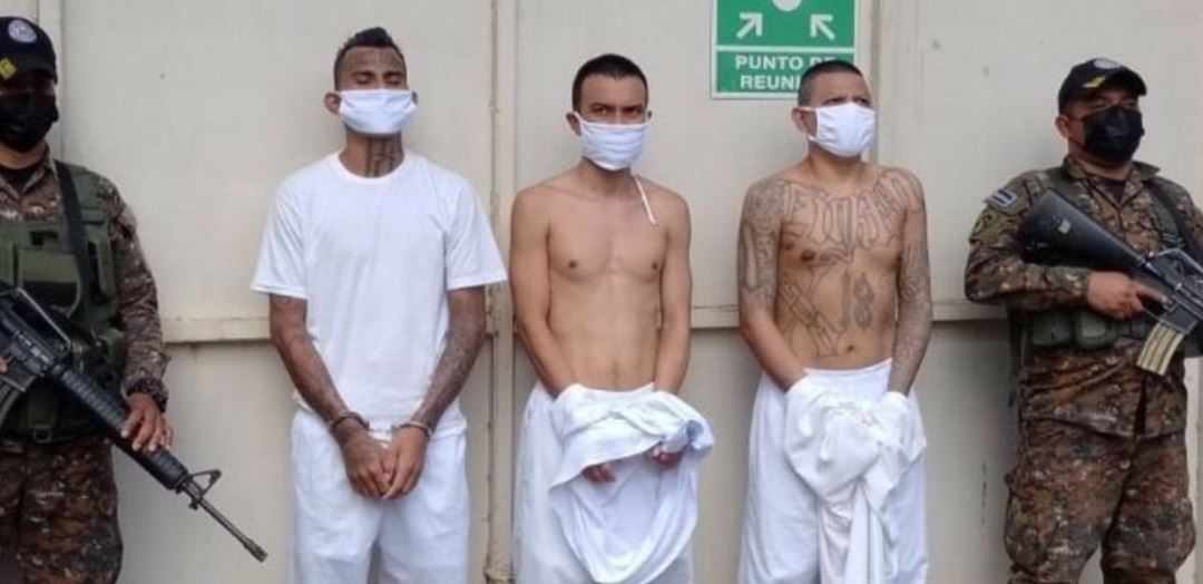 Alias Truister, Black y Cuba estaban listos para salir a las calles para delinquiendo, pero van de regreso a las celdas