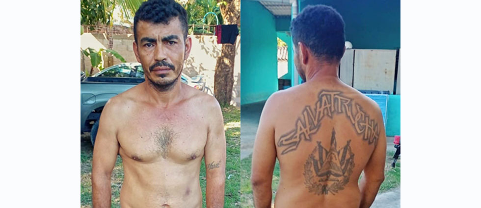 Arrestan a veterano y peligroso terrorista de la MS-13