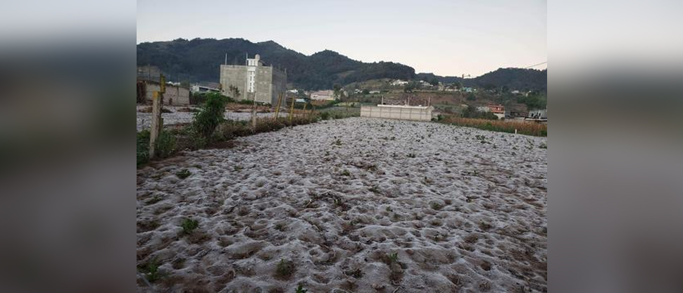 Quetzaltenango amanece cubierto de escarcha tras la primera helada del año