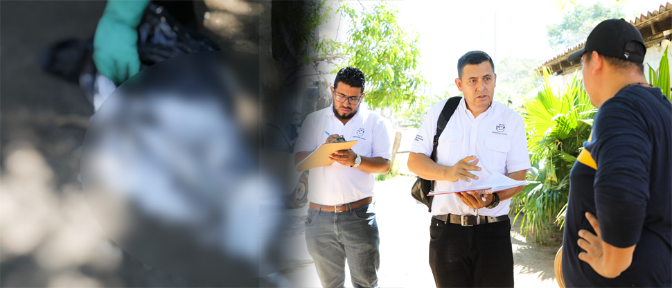 Investigan muerte por envenenamiento de perritos y gatitos en Acajutla