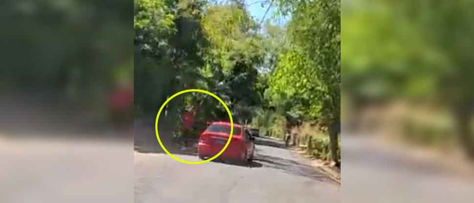 Conductor ebrio casi atropella a peatón y ocasiona un accidente; todo quedó grabado