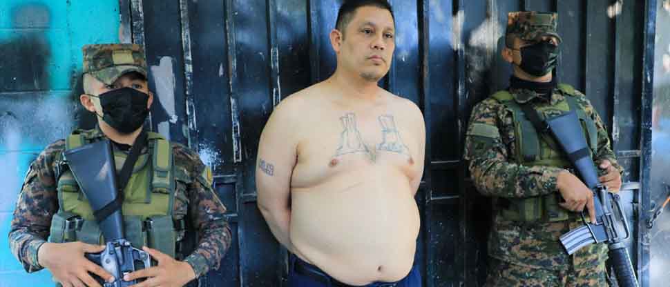 Capturan a miembro de la MS que intentó esconderse de la guerra contra las pandillas