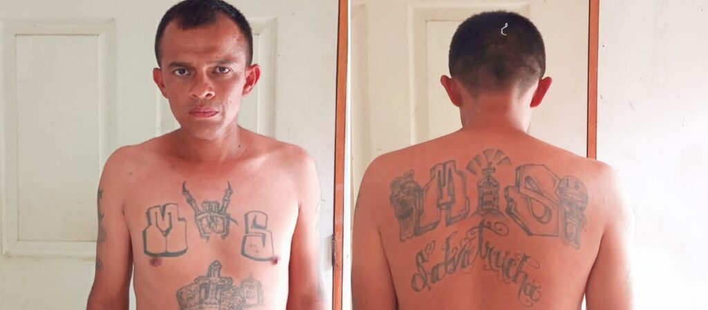 Equipo policial captura a alias Jocote, un peligroso MS de San Miguel