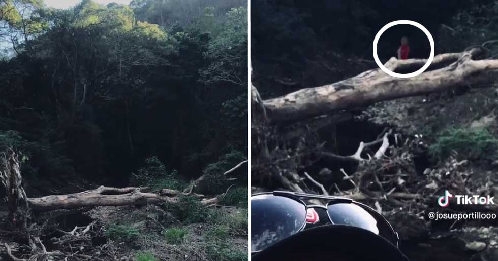 VIDEO: Se viraliza en Tiktok extraña aparición en parque salvadoreño