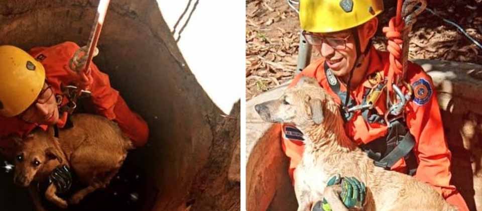 Bomberos de El Salvador salva a un perrito que cayó en un pozo
