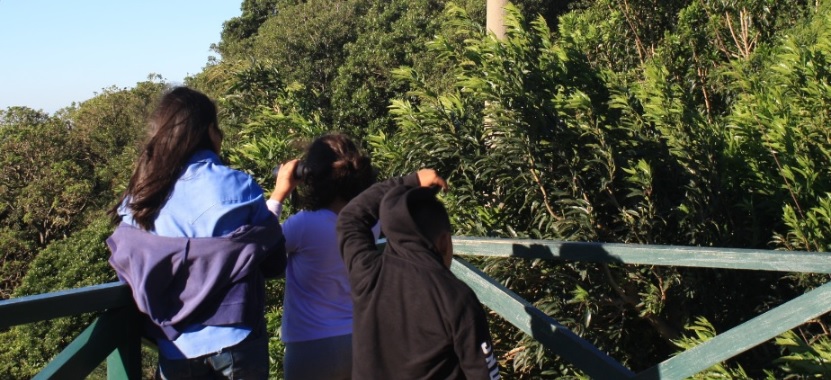 Vientos nortes ingresarán este fin de semana