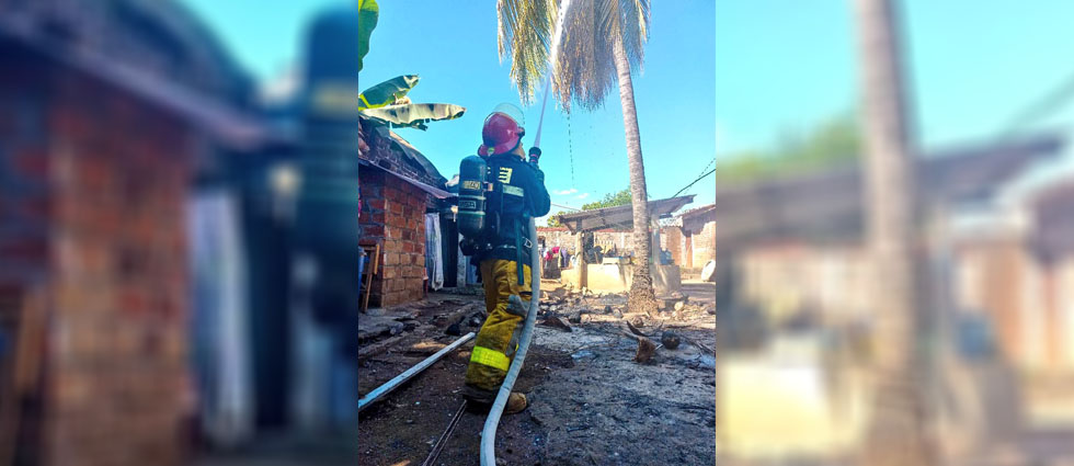Bomberos sofocan incendio ¡en una palmera!