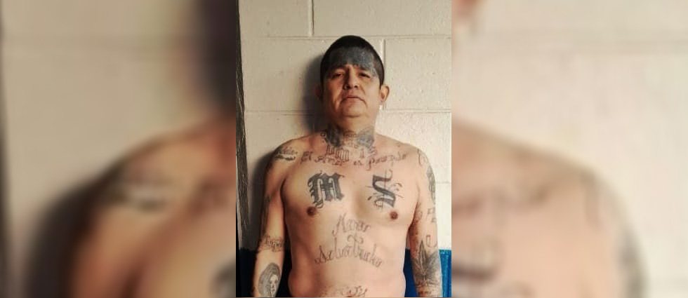 Policías capturan a temido MS que por décadas hizo daño a salvadoreños