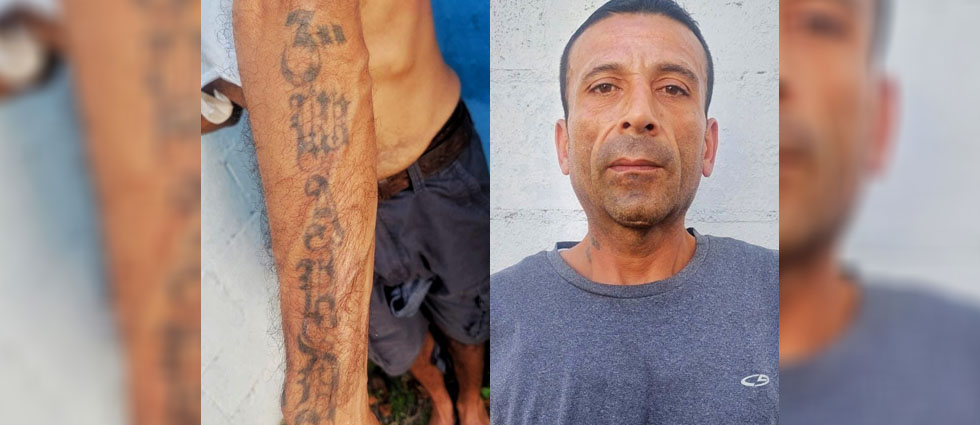 Capturan a peligroso MS que se dedicaba a robar a personas honradas