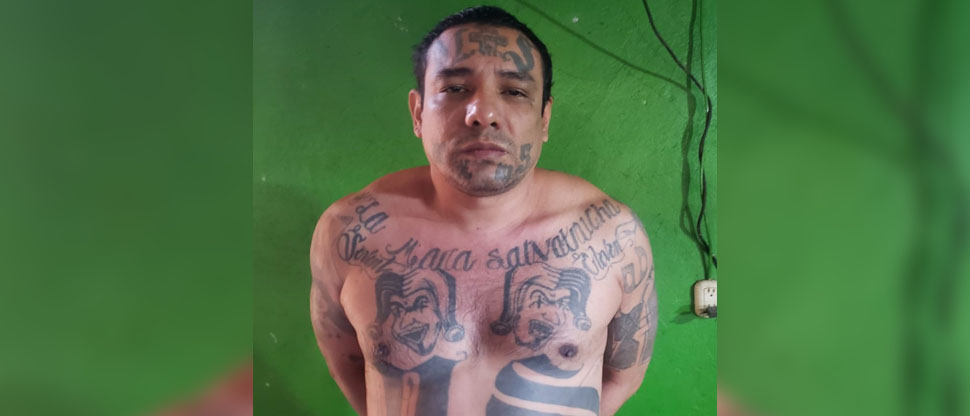 Capturan a corredor de clica de la MS-13 que intentaba ocultarse en Santa Ana