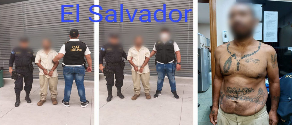 Capturan en Belice a miembro de la MS y lo entregan a las autoridades salvadoreñas
