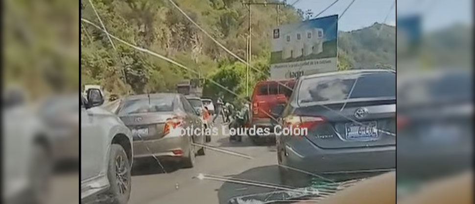 Paralizan el tráfico en la carretera a los Chorros para salvar a pollitos que cayeron de camión