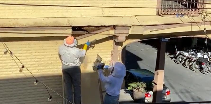 Varias personas resultan con picaduras tras enjambre de abejas desatado en Usulután